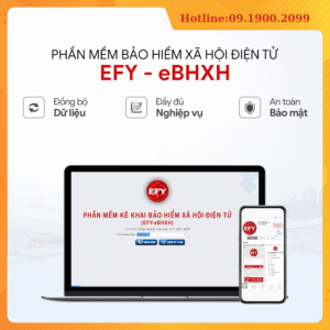 Bảo hiểm xã hội điện tử EFY-eBHXH