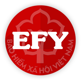 Phần Mềm Bảo Hiểm Xã Hội Điện Tử